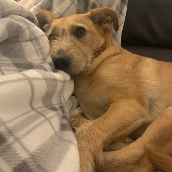 Like this to bookmark my closet! - Picture 9 of 9